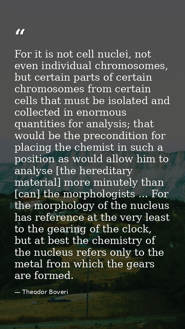 For it is not cell nuclei, not even individual chromosomes, but certain parts of certain chromosomes from certain cells  — Theodor Boveri