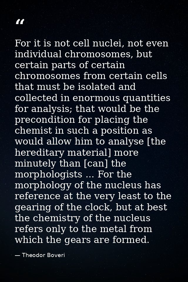 For it is not cell nuclei, not even individual chromosomes, but certain parts of certain chromosomes from certain cells  — Theodor Boveri