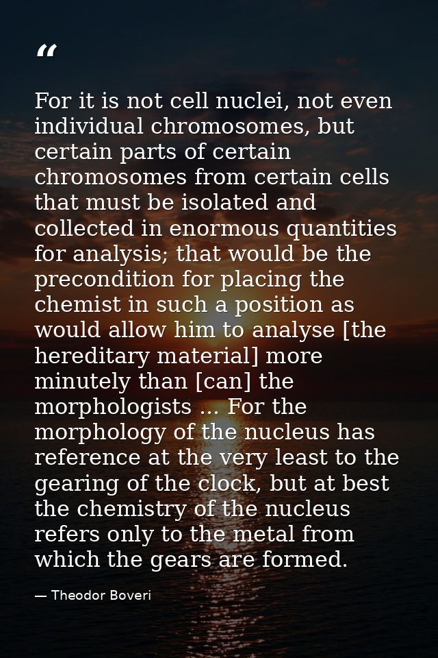 For it is not cell nuclei, not even individual chromosomes, but certain parts of certain chromosomes from certain cells  — Theodor Boveri