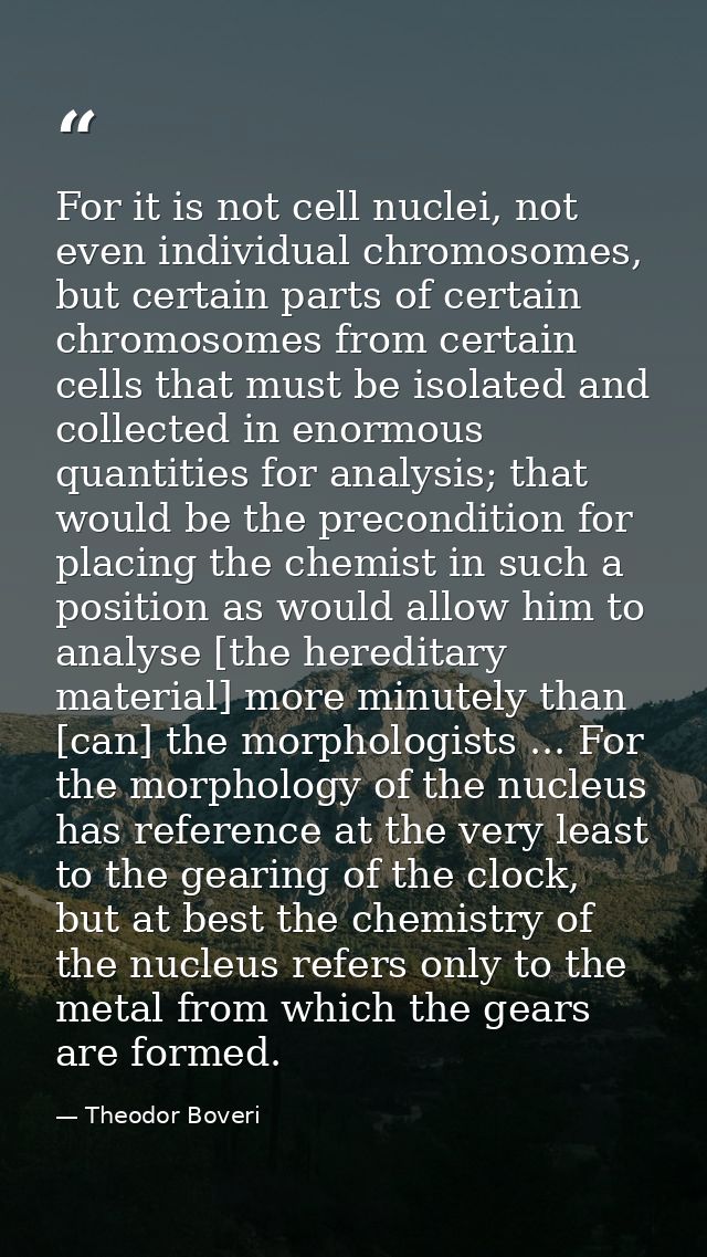 For it is not cell nuclei, not even individual chromosomes, but certain parts of certain chromosomes from certain cells  — Theodor Boveri
