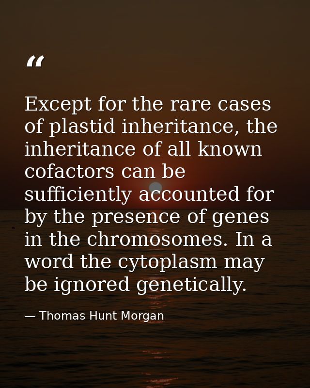 Except for the rare cases of plastid inheritance, the inheritance of all known cofactors can be sufficiently accounted f — Thomas Hunt Morgan