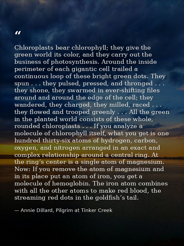 Chloroplasts bear chlorophyll; they give the green world its color, and they carry out the business of photosynthesis. A — Annie Dillard, Pilgrim at Tinker Creek