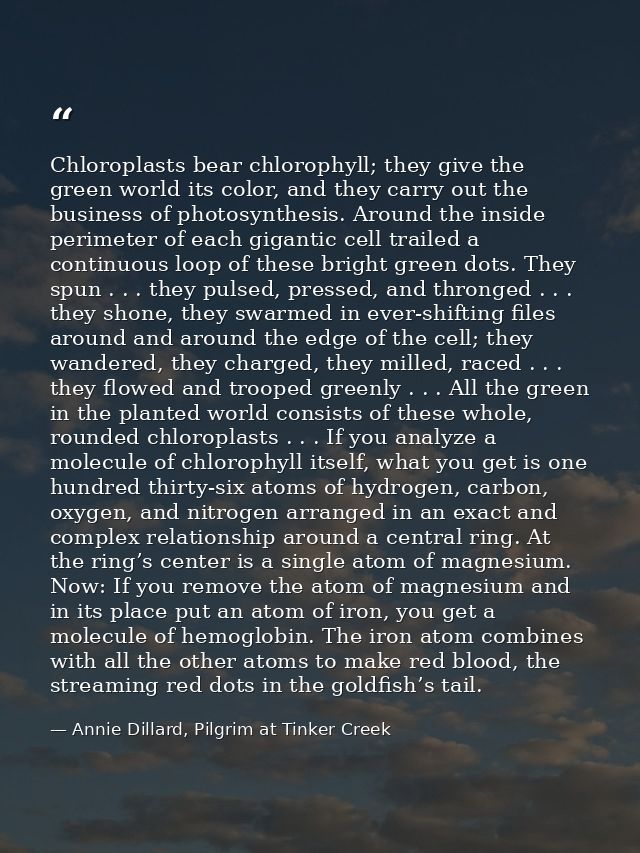 Chloroplasts bear chlorophyll; they give the green world its color, and they carry out the business of photosynthesis. A — Annie Dillard, Pilgrim at Tinker Creek