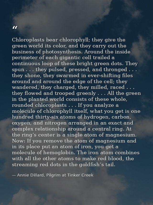 Chloroplasts bear chlorophyll; they give the green world its color, and they carry out the business of photosynthesis. A — Annie Dillard, Pilgrim at Tinker Creek