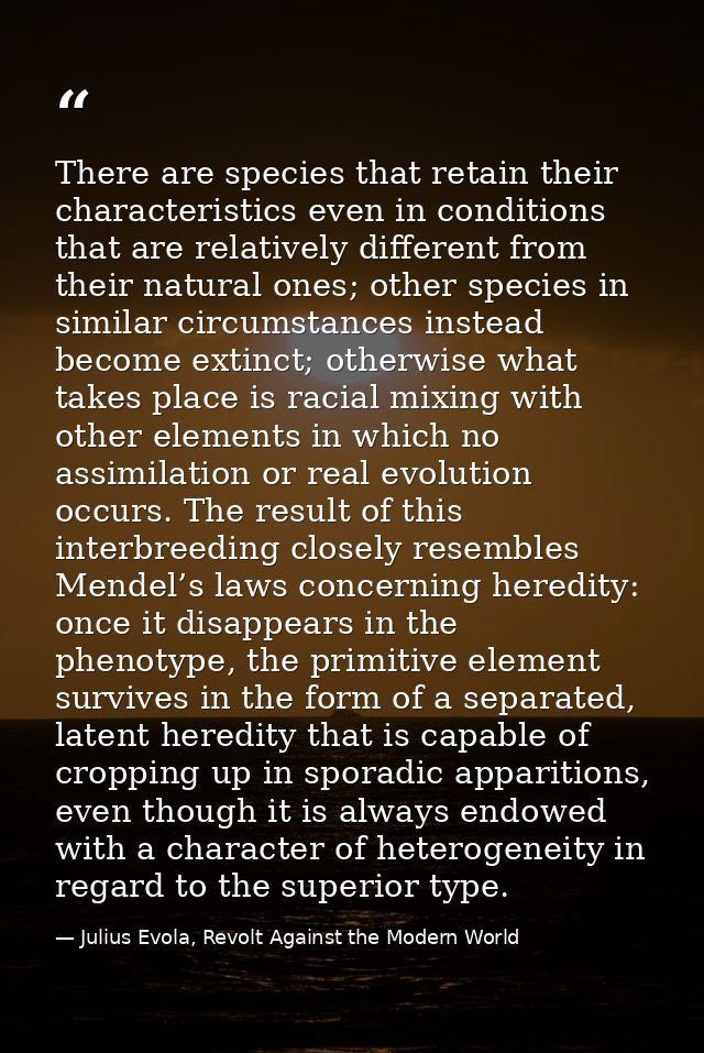 There are species that retain their characteristics even in conditions that are relatively different from their natural  — Julius Evola, Revolt Against the Modern World