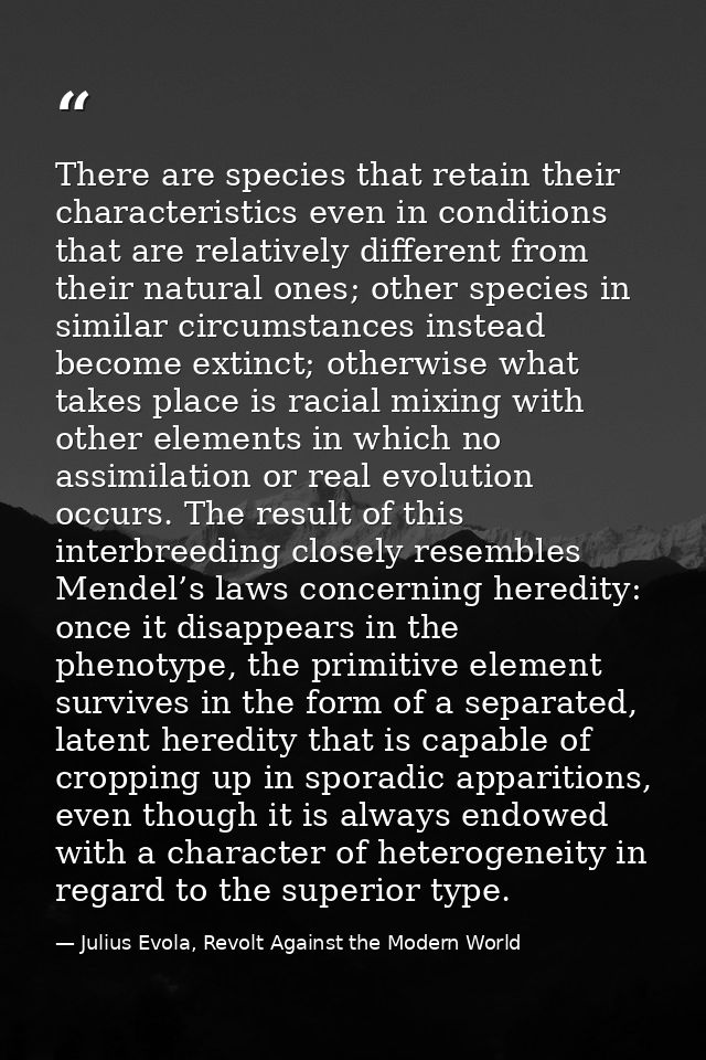 There are species that retain their characteristics even in conditions that are relatively different from their natural  — Julius Evola, Revolt Against the Modern World