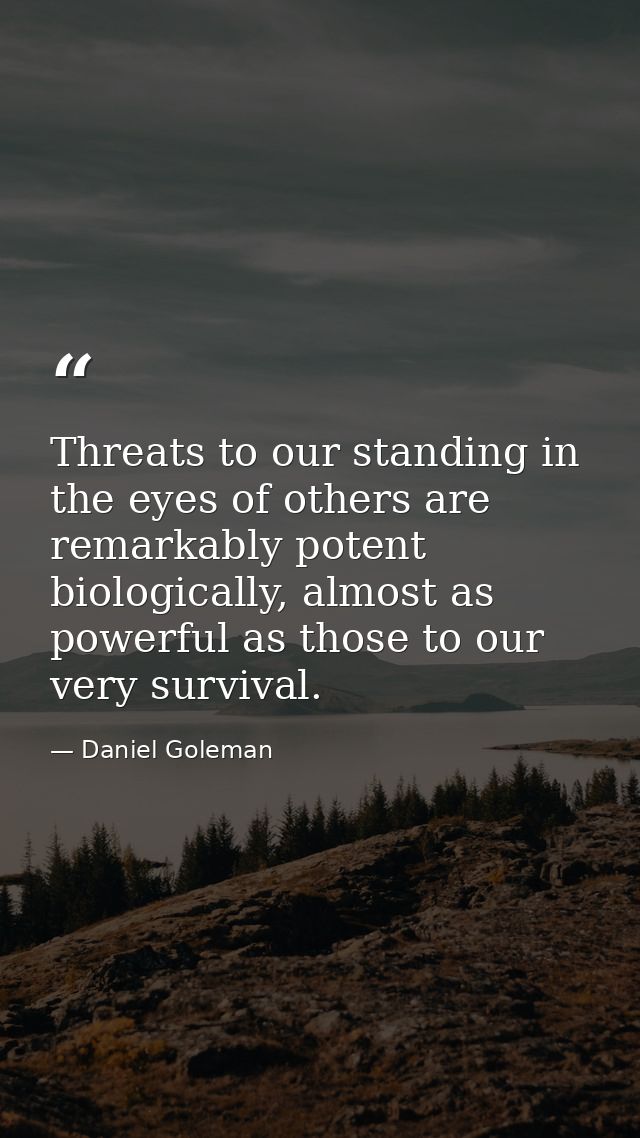 Threats to our standing in the eyes of others are remarkably potent biologically, almost as powerful as those to our ver — Daniel Goleman