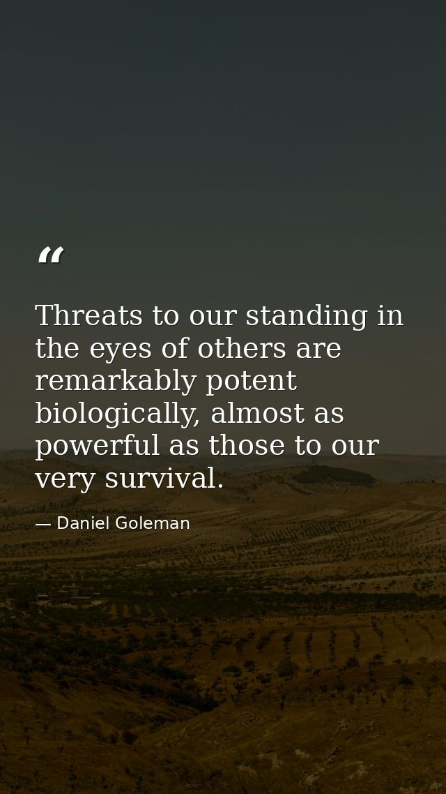 Threats to our standing in the eyes of others are remarkably potent biologically, almost as powerful as those to our ver — Daniel Goleman