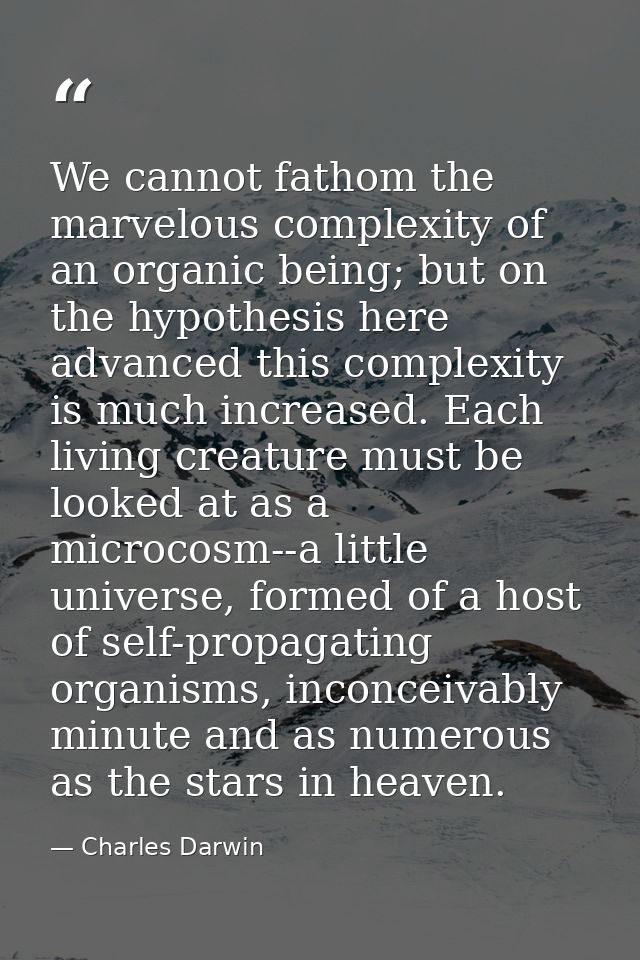 We cannot fathom the marvelous complexity of an organic being; but on the hypothesis here advanced this complexity is mu — Charles Darwin