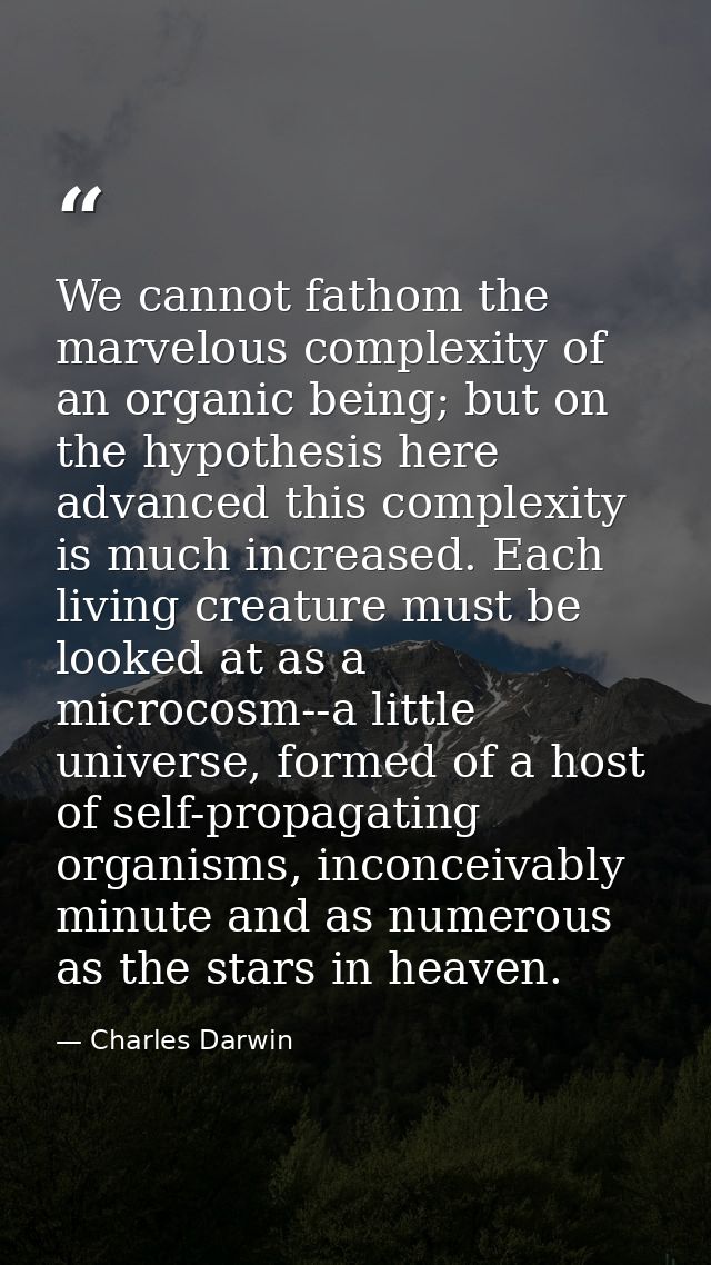 We cannot fathom the marvelous complexity of an organic being; but on the hypothesis here advanced this complexity is mu — Charles Darwin
