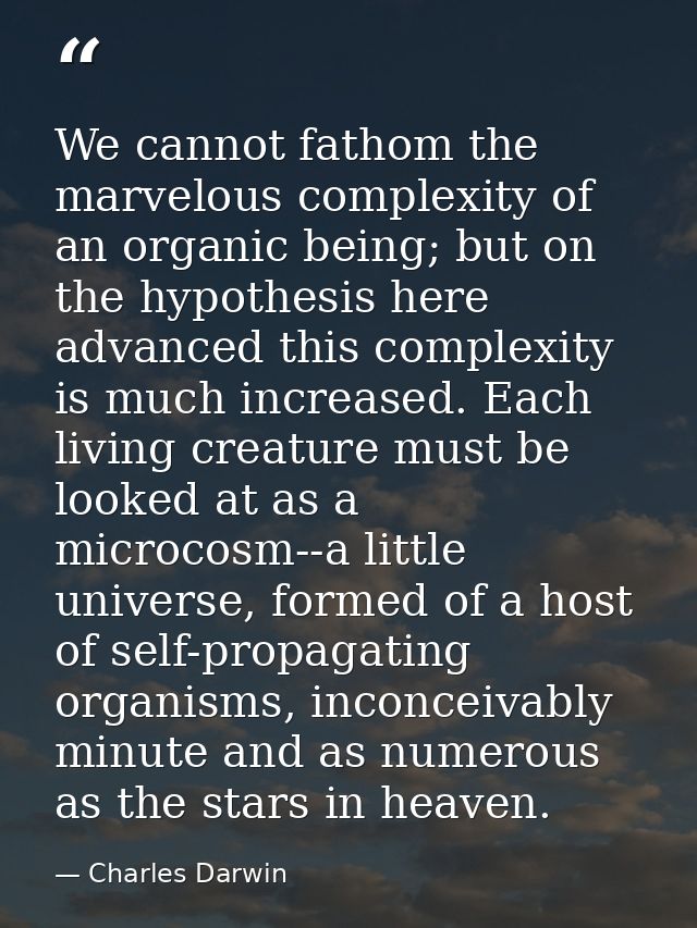 We cannot fathom the marvelous complexity of an organic being; but on the hypothesis here advanced this complexity is mu — Charles Darwin