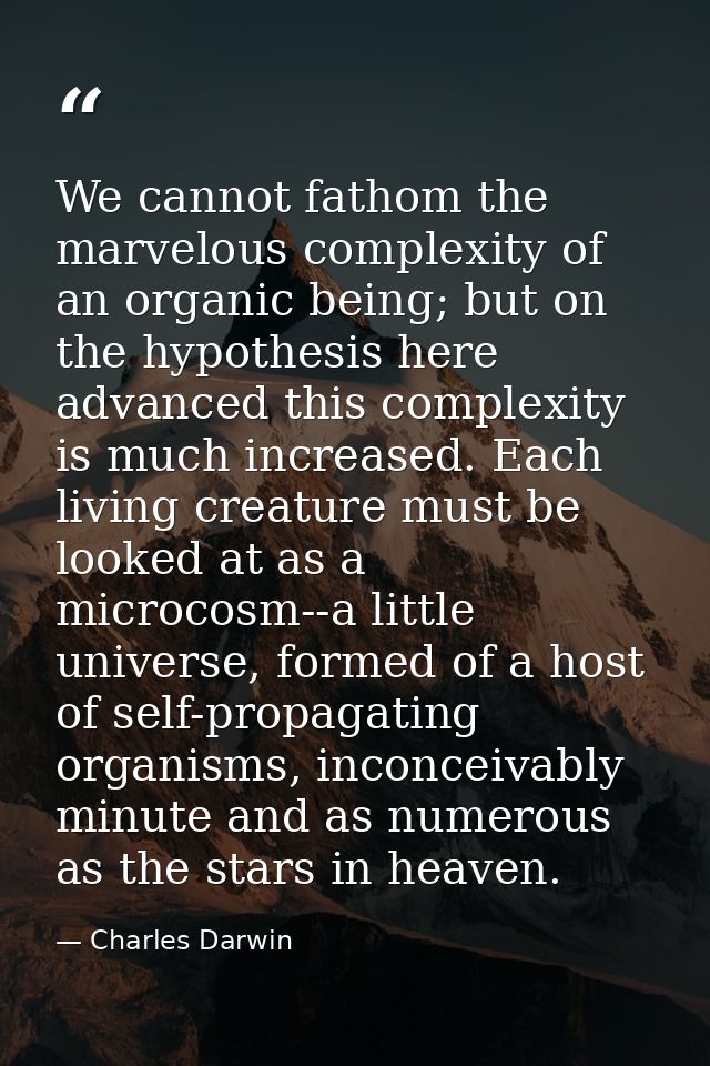 We cannot fathom the marvelous complexity of an organic being; but on the hypothesis here advanced this complexity is mu — Charles Darwin
