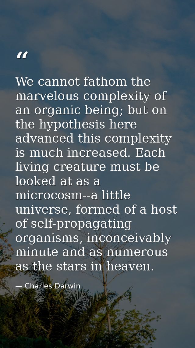 We cannot fathom the marvelous complexity of an organic being; but on the hypothesis here advanced this complexity is mu — Charles Darwin