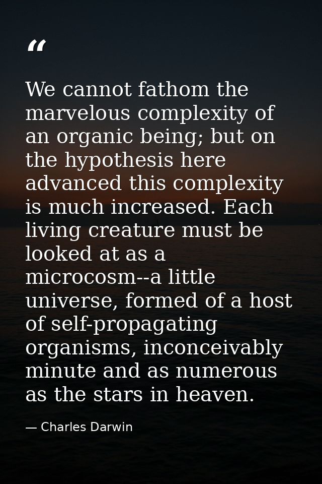 We cannot fathom the marvelous complexity of an organic being; but on the hypothesis here advanced this complexity is mu — Charles Darwin