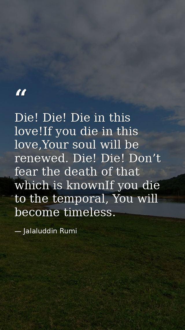 Die! Die! Die in this love!If you die in this love,Your soul will be renewed. Die! Die! Don’t fear the death of that whi — Jalaluddin Rumi