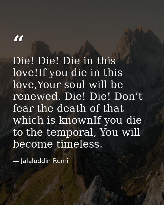 Die! Die! Die in this love!If you die in this love,Your soul will be renewed. Die! Die! Don’t fear the death of that whi — Jalaluddin Rumi