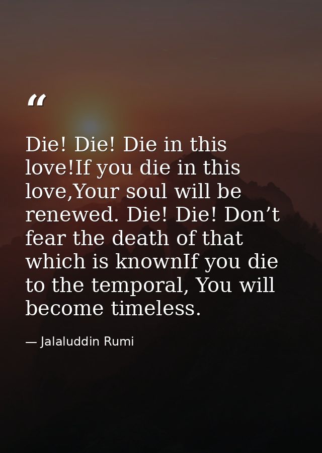 Die! Die! Die in this love!If you die in this love,Your soul will be renewed. Die! Die! Don’t fear the death of that whi — Jalaluddin Rumi