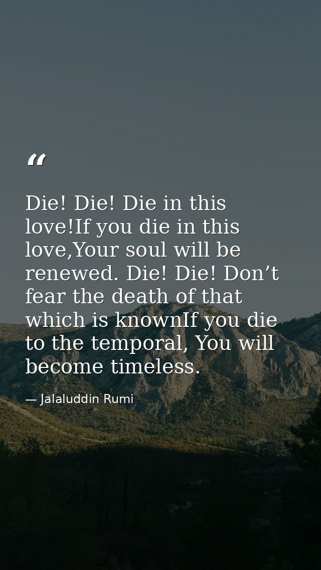 Die! Die! Die in this love!If you die in this love,Your soul will be renewed. Die! Die! Don’t fear the death of that whi — Jalaluddin Rumi