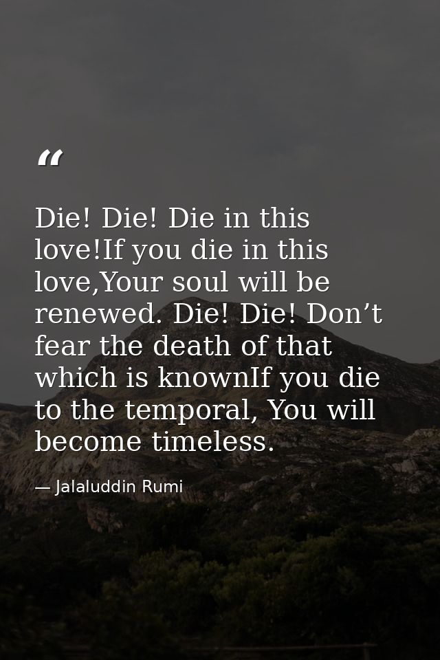 Die! Die! Die in this love!If you die in this love,Your soul will be renewed. Die! Die! Don’t fear the death of that whi — Jalaluddin Rumi