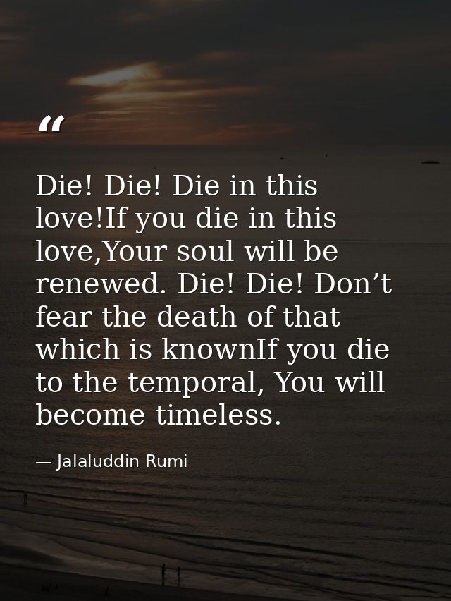 Die! Die! Die in this love!If you die in this love,Your soul will be renewed. Die! Die! Don’t fear the death of that whi — Jalaluddin Rumi