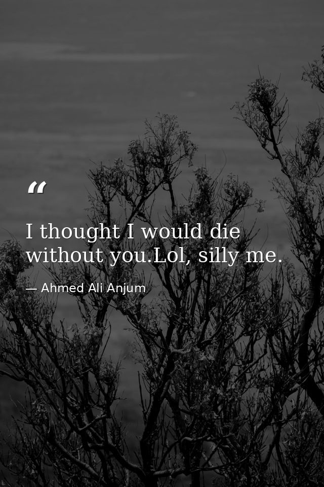 I thought I would die without you.Lol, silly me. — Ahmed Ali Anjum