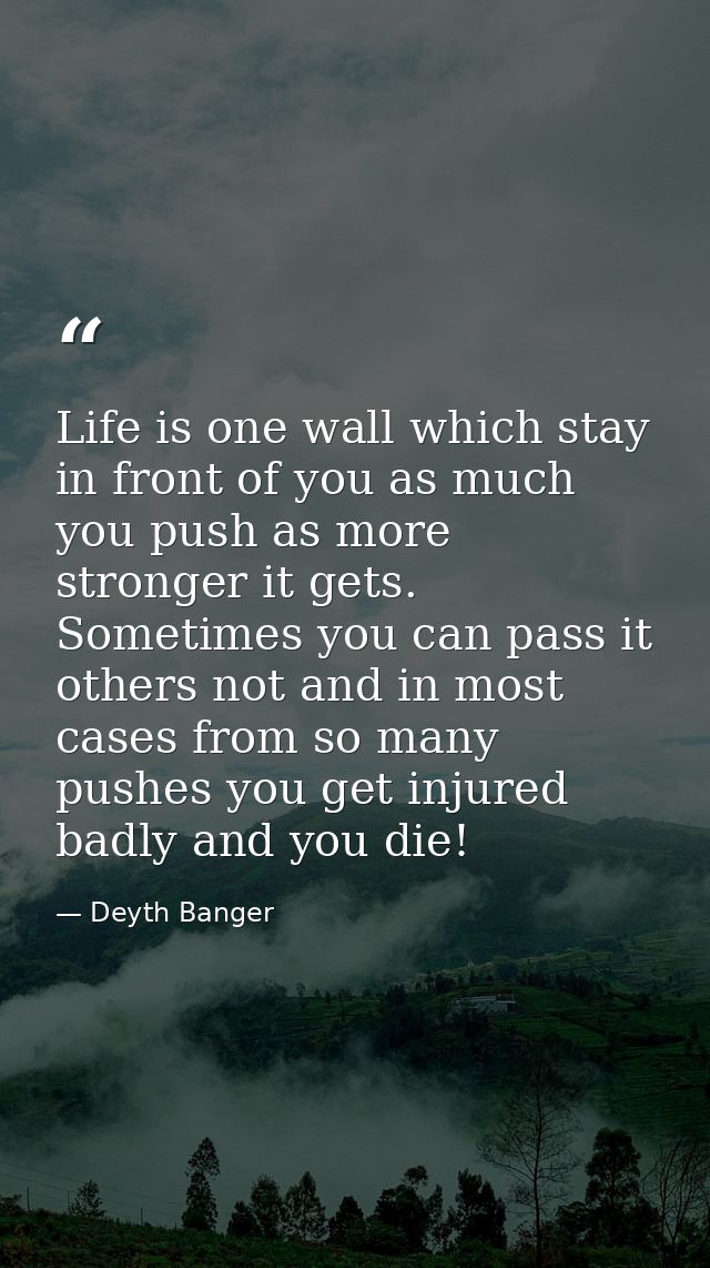 Life is one wall which stay in front of you as much you push as more stronger it gets. Sometimes you can pass it others  — Deyth Banger