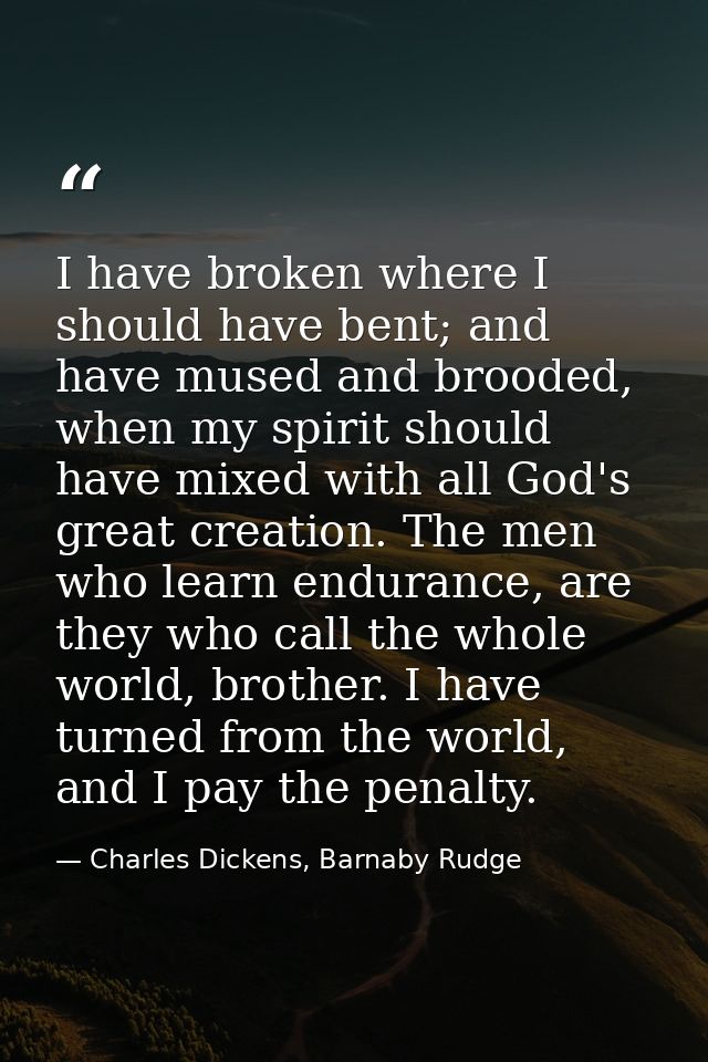 I have broken where I should have bent; and have mused and brooded, when my spirit should have mixed with all God's grea — Charles Dickens, Barnaby Rudge
