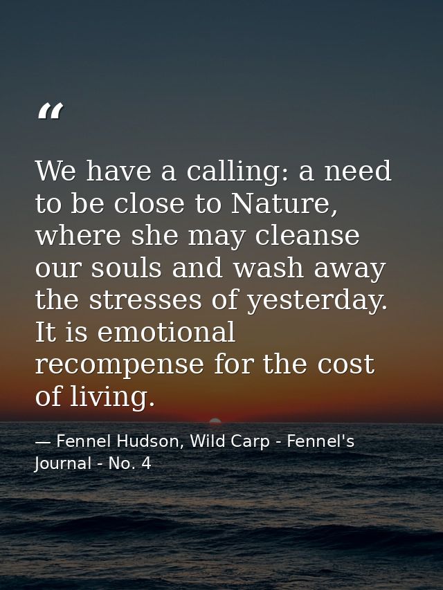 We have a calling: a need to be close to Nature, where she may cleanse our souls and wash away the stresses of yesterday — Fennel Hudson, Wild Carp - Fennel's Journal - No. 4