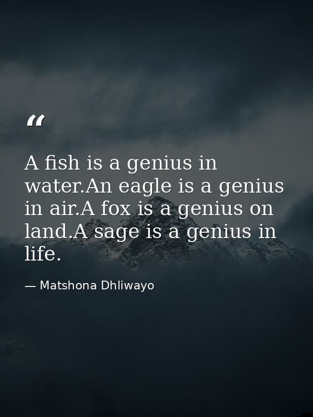 A fish is a genius in water.An eagle is a genius in air.A fox is a genius on land.A sage is a genius in life. — Matshona Dhliwayo
