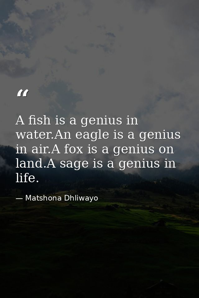 A fish is a genius in water.An eagle is a genius in air.A fox is a genius on land.A sage is a genius in life. — Matshona Dhliwayo