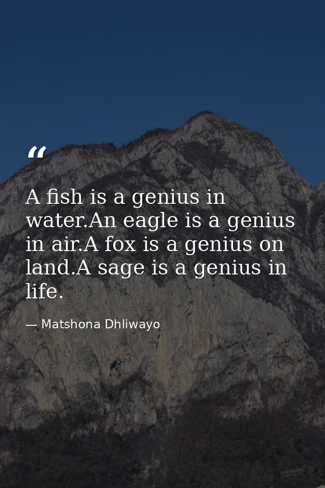 A fish is a genius in water.An eagle is a genius in air.A fox is a genius on land.A sage is a genius in life. — Matshona Dhliwayo