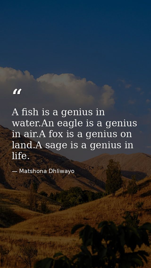 A fish is a genius in water.An eagle is a genius in air.A fox is a genius on land.A sage is a genius in life. — Matshona Dhliwayo