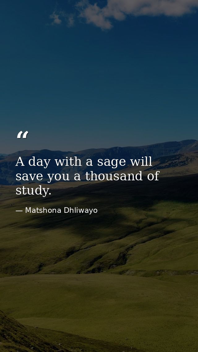 A day with a sage will save you a thousand of study. — Matshona Dhliwayo