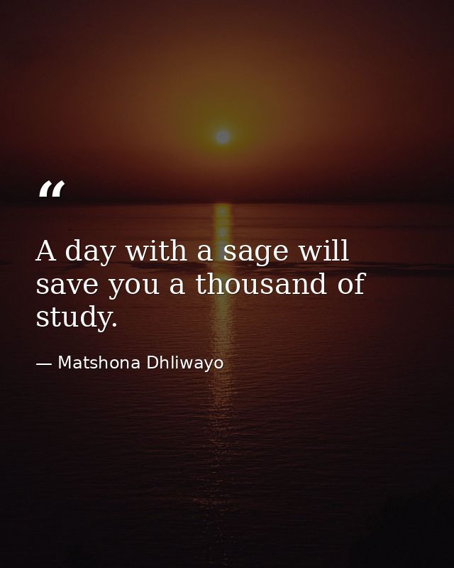 A day with a sage will save you a thousand of study. — Matshona Dhliwayo