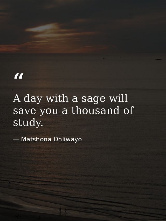 A day with a sage will save you a thousand of study. — Matshona Dhliwayo