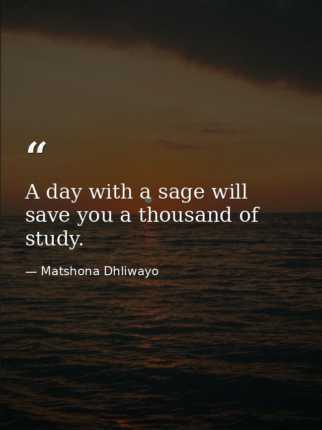 A day with a sage will save you a thousand of study. — Matshona Dhliwayo