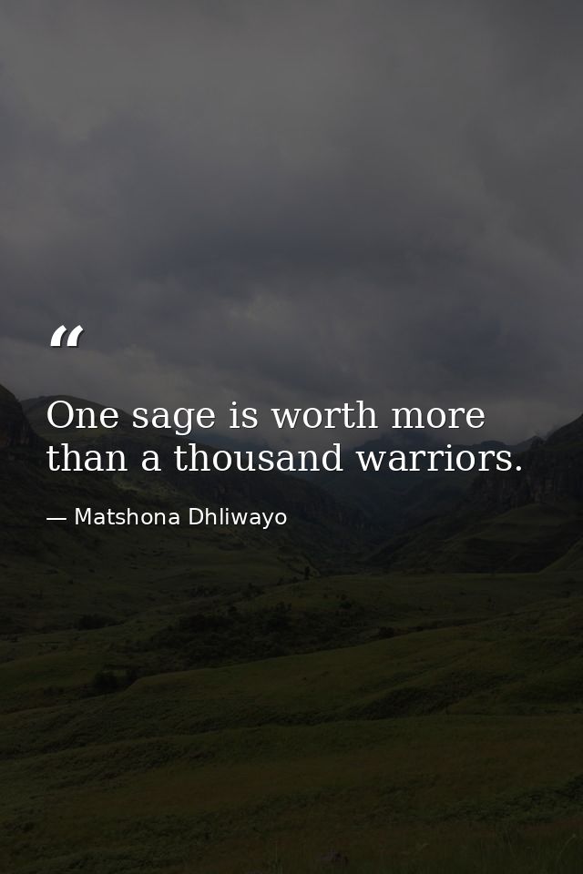 One sage is worth more than a thousand warriors. — Matshona Dhliwayo