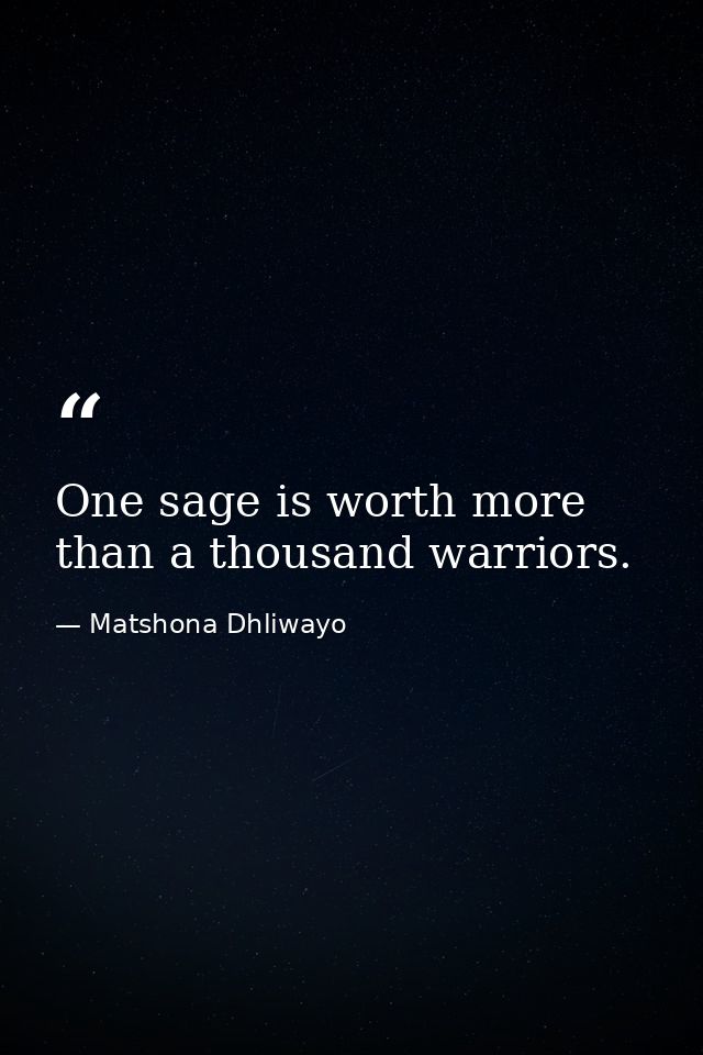 One sage is worth more than a thousand warriors. — Matshona Dhliwayo