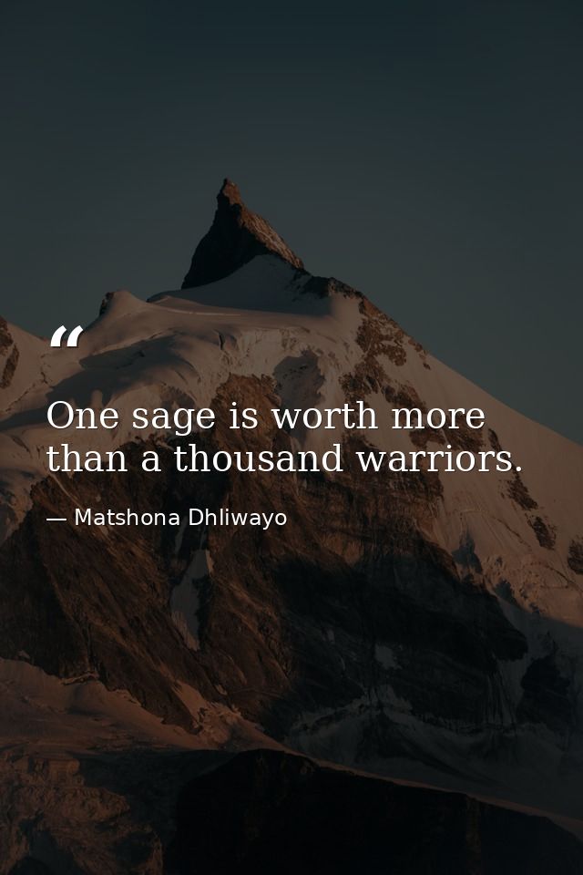 One sage is worth more than a thousand warriors. — Matshona Dhliwayo
