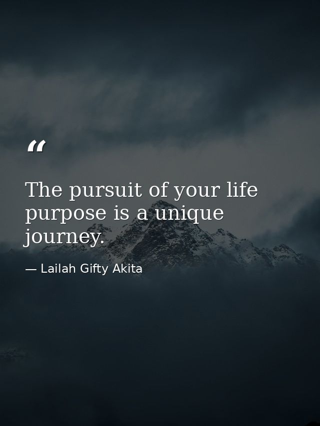 The pursuit of your life purpose is a unique journey. — Lailah Gifty Akita