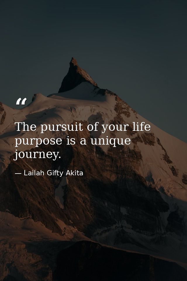 The pursuit of your life purpose is a unique journey. — Lailah Gifty Akita