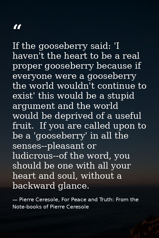 If the gooseberry said: 'I haven't the heart to be a real proper gooseberry because if everyone were a gooseberry the wo — Pierre Ceresole, For Peace and Truth: From the Note-books of Pierre Ceresole