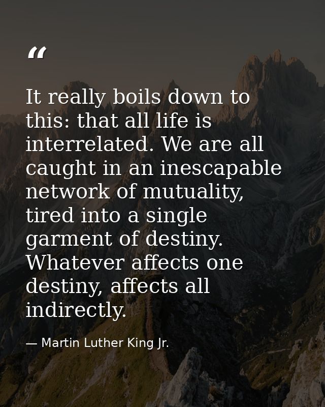 It really boils down to this: that all life is interrelated. We are all caught in an inescapable network of mutuality, t — Martin Luther King Jr.