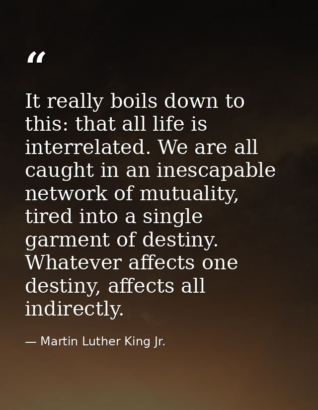 It really boils down to this: that all life is interrelated. We are all caught in an inescapable network of mutuality, t — Martin Luther King Jr.