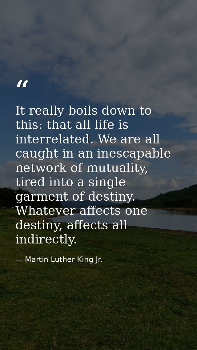 It really boils down to this: that all life is interrelated. We are all caught in an inescapable network of mutuality, t — Martin Luther King Jr.