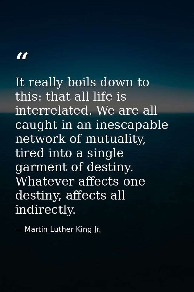 It really boils down to this: that all life is interrelated. We are all caught in an inescapable network of mutuality, t — Martin Luther King Jr.