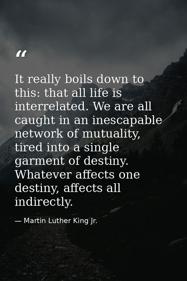 It really boils down to this: that all life is interrelated. We are all caught in an inescapable network of mutuality, t — Martin Luther King Jr.