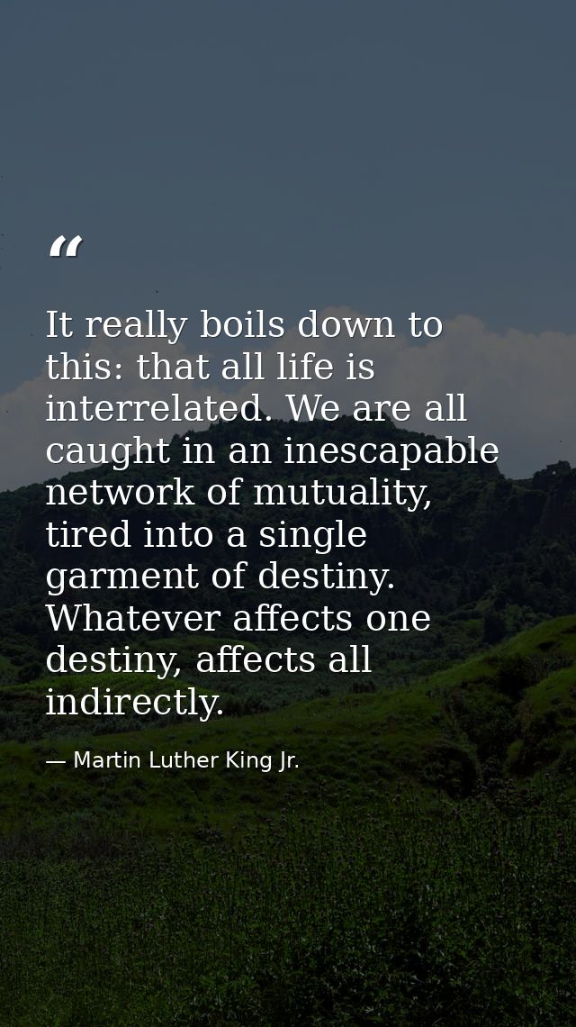 It really boils down to this: that all life is interrelated. We are all caught in an inescapable network of mutuality, t — Martin Luther King Jr.