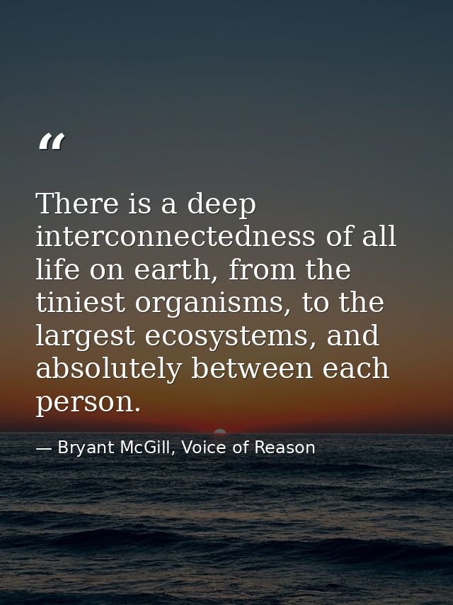 There is a deep interconnectedness of all life on earth, from the tiniest organisms, to the largest ecosystems, and abso — Bryant McGill, Voice of Reason