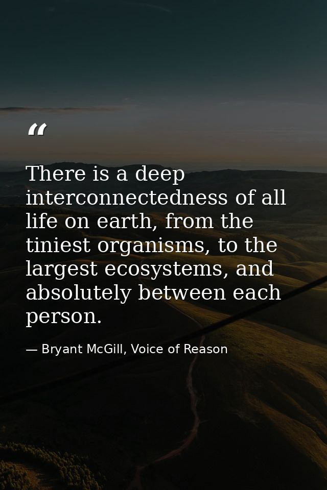 There is a deep interconnectedness of all life on earth, from the tiniest organisms, to the largest ecosystems, and abso — Bryant McGill, Voice of Reason
